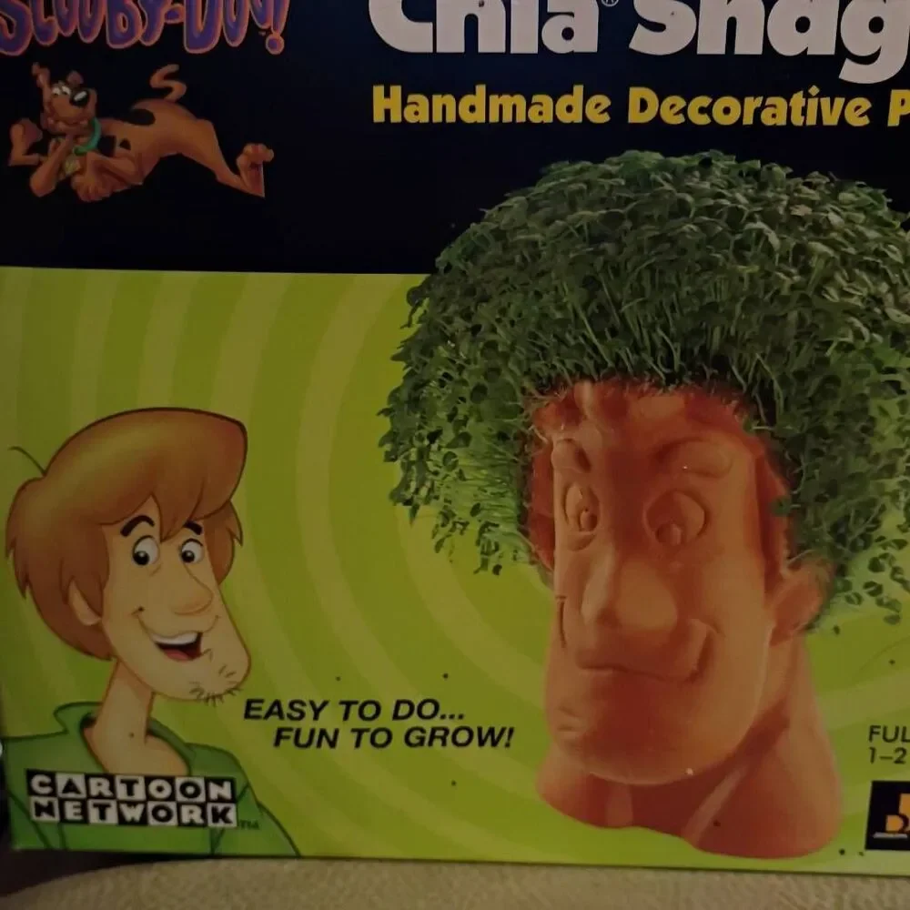 NWT Cartoon Network Scooby Doo Chia Shaggy